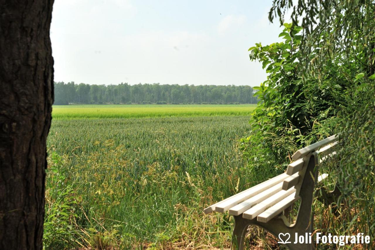 Buitengoed Het Achterdiep Ter Apel エクステリア 写真